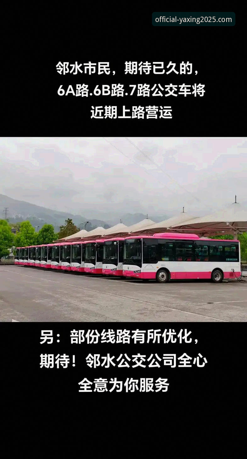 亚星官方网站使用教程怎么样 亚星官方网站使用教程完整指南:从下载到功能深度解读